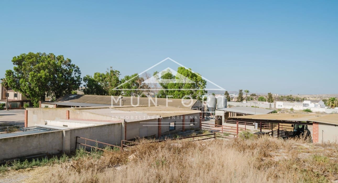 Commercial for sale in Alicante / Alacant city - € 2,600,000 (Ref: 9510153)