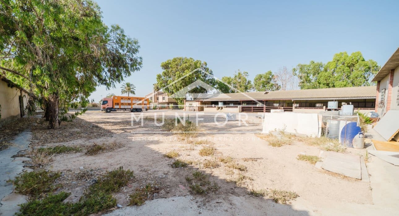 Commercial for sale in Alicante / Alacant city - € 2,600,000 (Ref: 9510153)