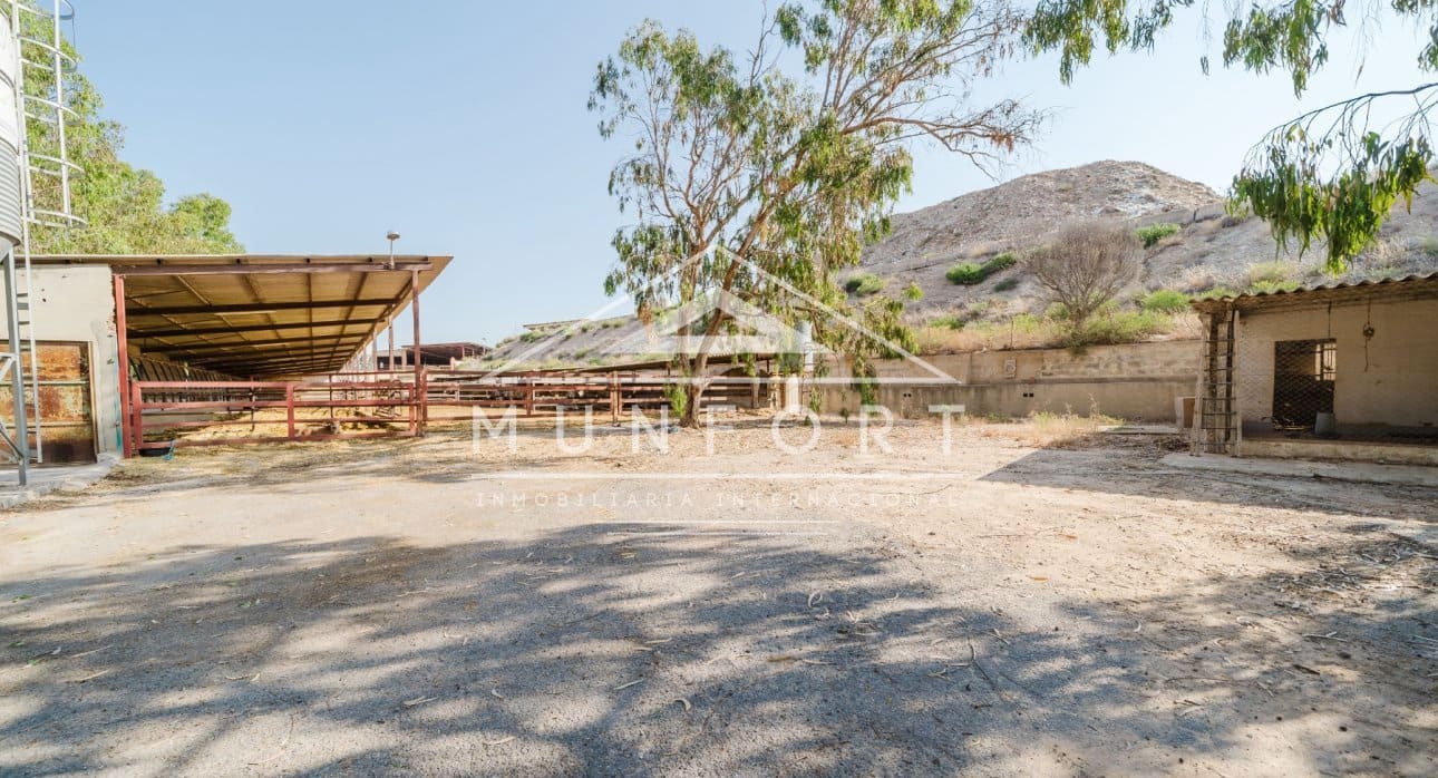 Commercial for sale in Alicante / Alacant city - € 2,600,000 (Ref: 9510153)