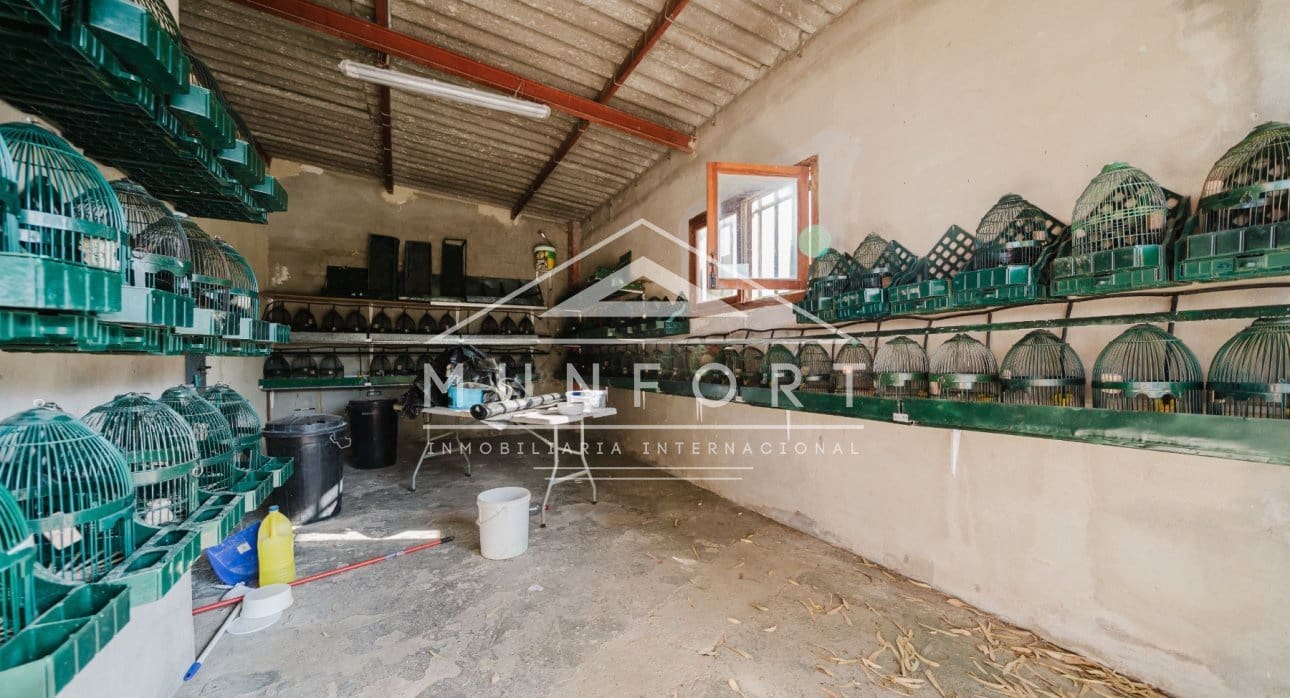 Commercial for sale in Alicante / Alacant city - € 2,600,000 (Ref: 9510153)