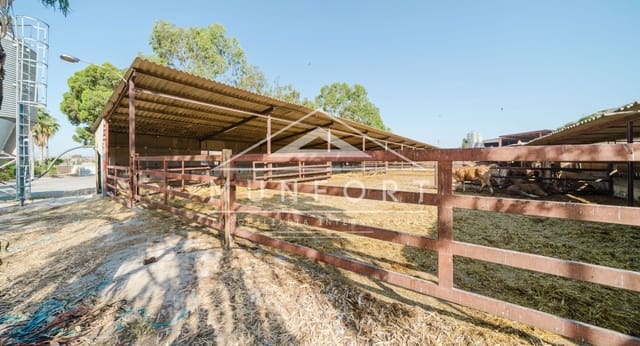 Commerciale in vendita in Alicante città - 2.600.000 € (Rif: 9510153)