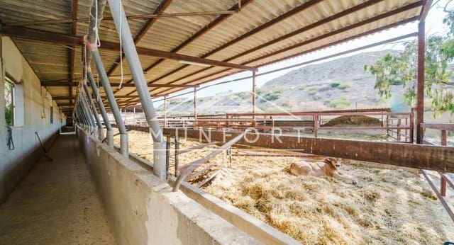 Commerciale in vendita in Alicante città - 2.600.000 € (Rif: 9510153)