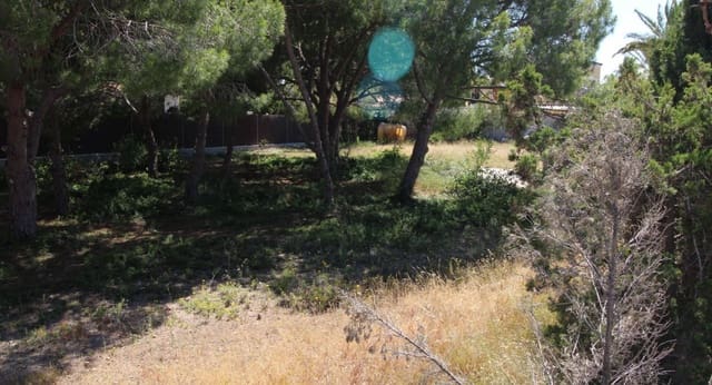 Byggetomt til salgs i Cabo Roig, Orihuela - € 970 000 (Ref: 9532500)