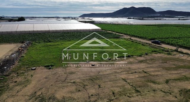 Building Plot for sale in San Cayetano, Torre-Pacheco - € 199,900 (Ref: 9537821)