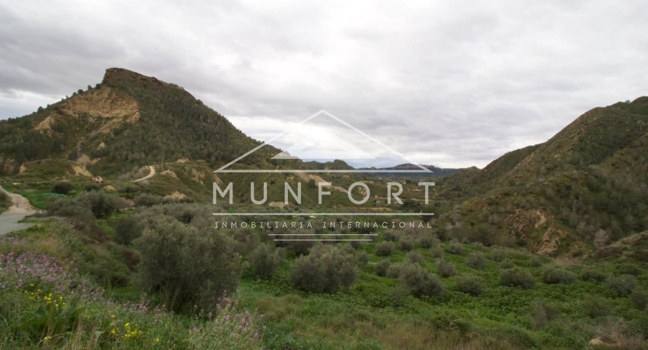 Building Plot for sale in Algezares - € 175,000 (Ref: 9614222)