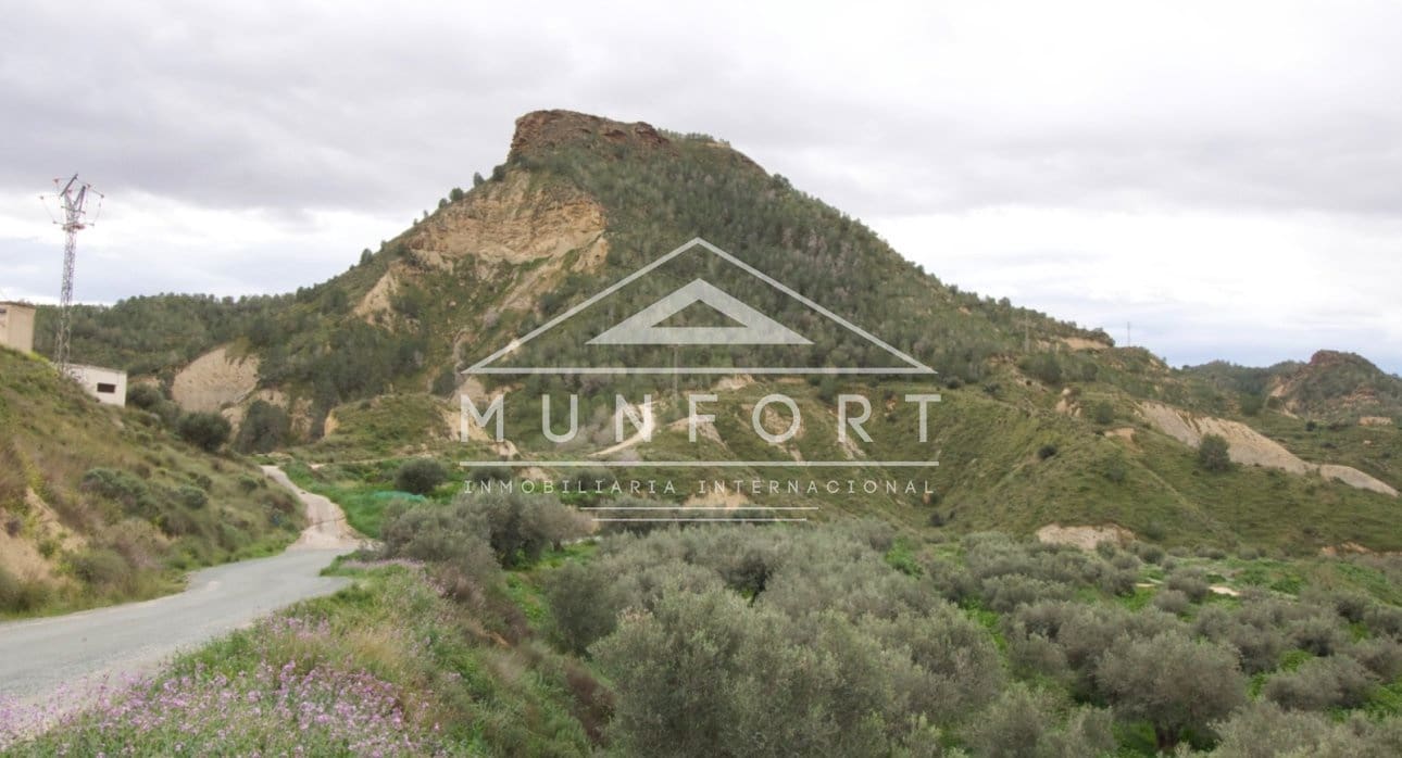 Building Plot for sale in Algezares - € 175,000 (Ref: 9614222)