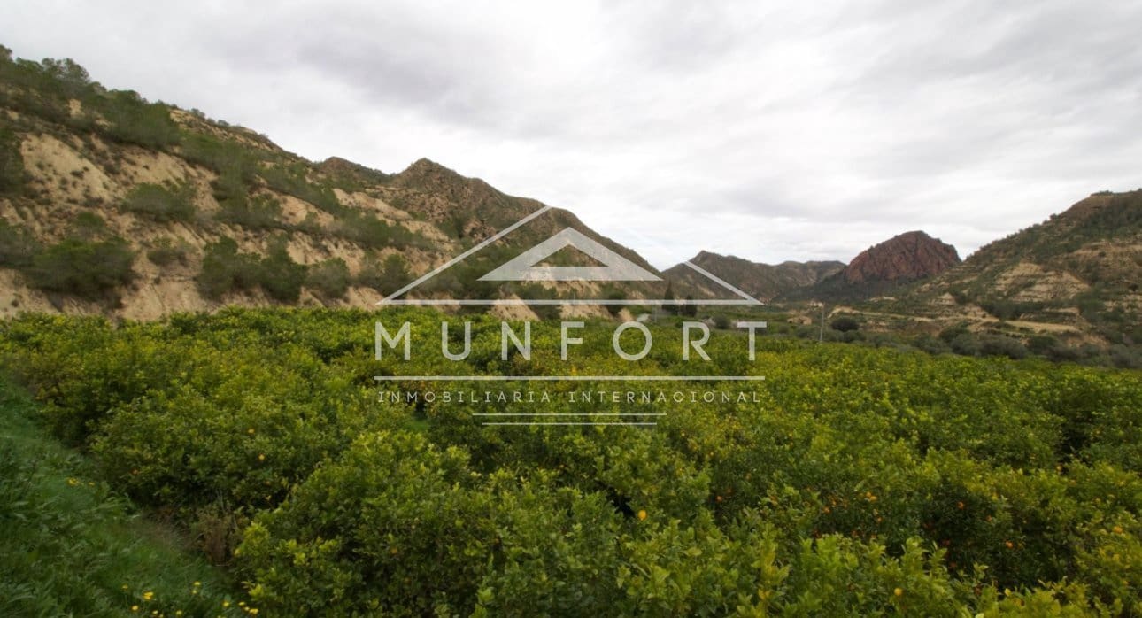 Building Plot for sale in Algezares - € 175,000 (Ref: 9614222)