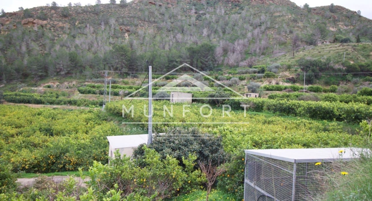 Building Plot for sale in Algezares - € 175,000 (Ref: 9614222)
