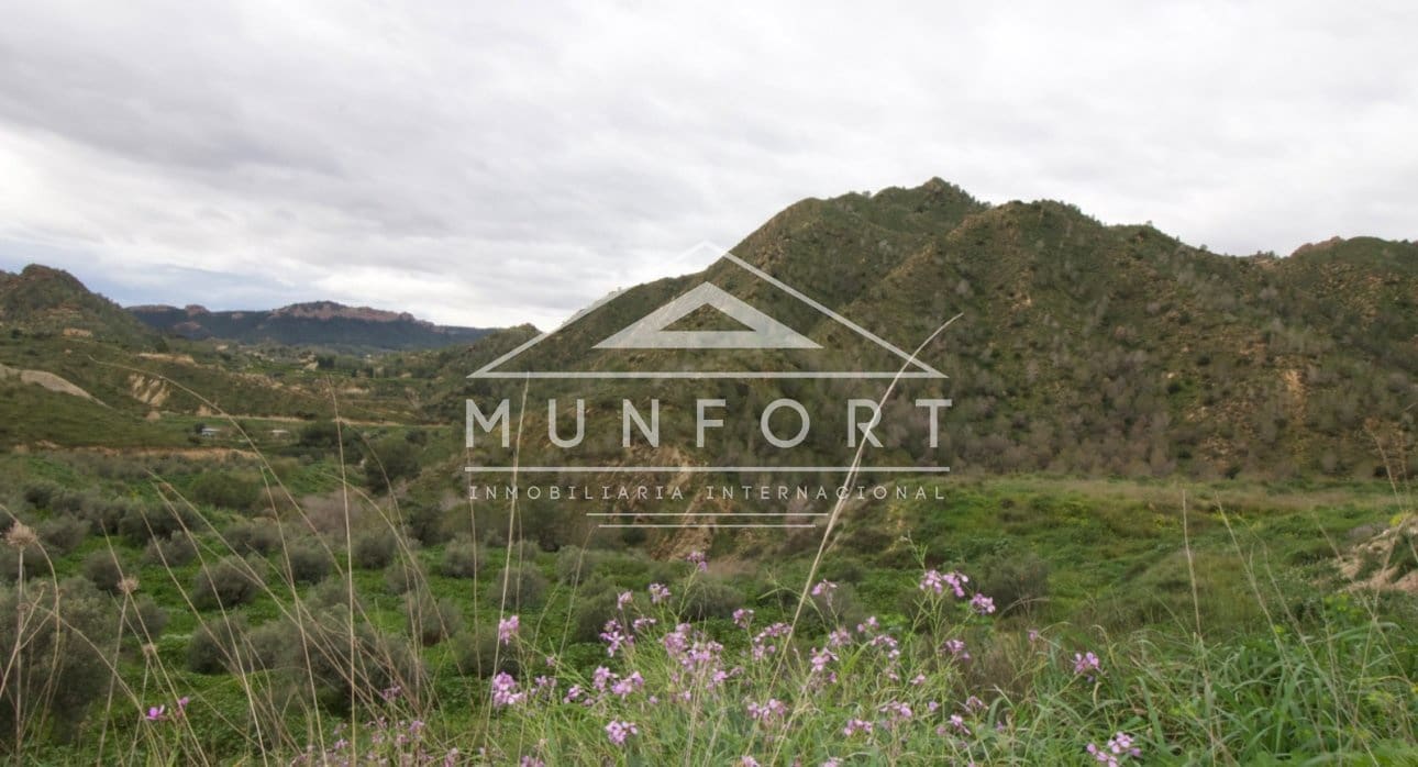 Building Plot for sale in Algezares - € 175,000 (Ref: 9614222)