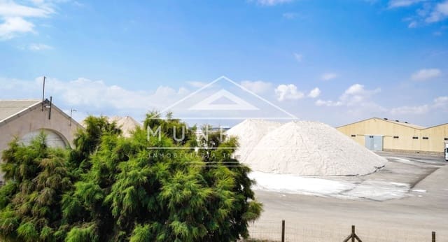 Terrain à Bâtir à vendre à San Pedro del Pinatar ciudad, San Pedro del Pinatar - 145 000 € (Ref: 9646027)