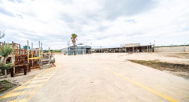 Byggegrund til salg i Pinar de Campoverde, Pilar de la Horadada - € 590.000 (Ref: 9789772)