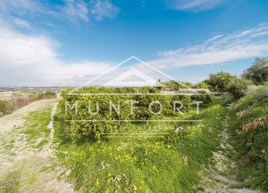 3 sovrum Finca/Hus på landet till salu i Guardamar del Segura med pool - 450 000 € (Ref: 9983969)