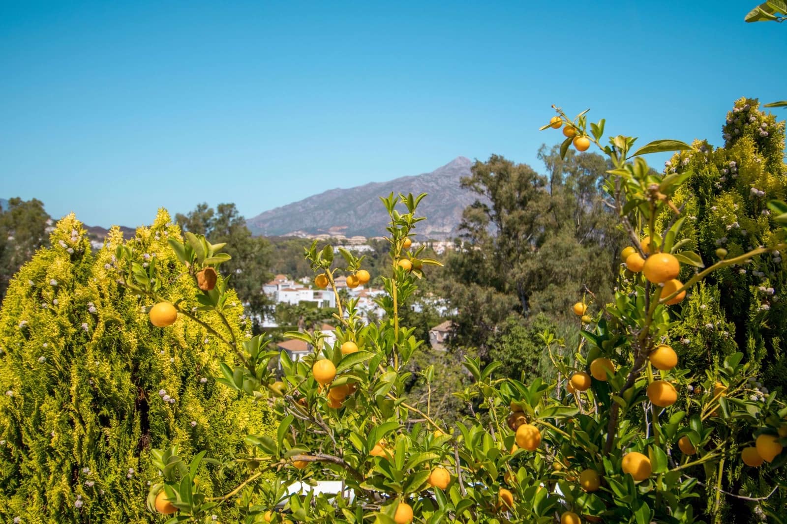 4 sypialnia Apartament na sprzedaż w Nueva Andalucia z basenem - 1 950 000 € (Ref: 3916320)