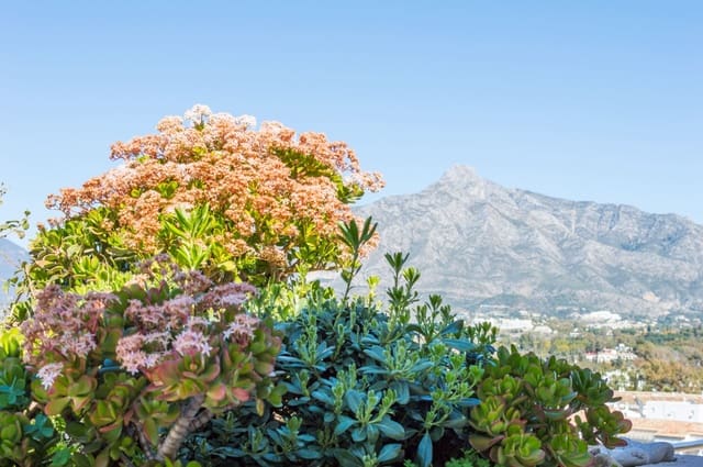 2 Zimmer Apartment zu verkaufen in Puerto Banus, Marbella - 1.630.000 € (Ref: 8162743)