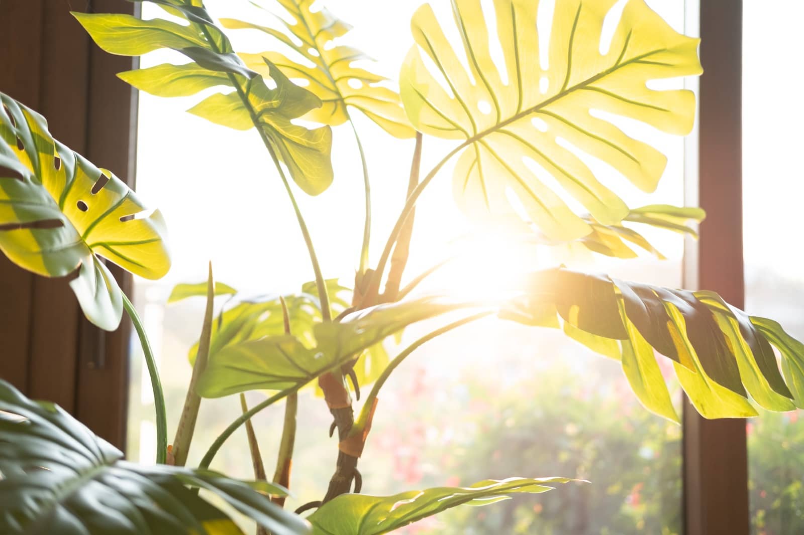 5 soveværelse Villa til salg i Benahavis med swimmingpool - € 3.950.000 (Ref: 9111842)