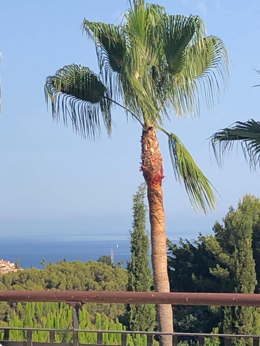 3 sovrum Lägenhet till salu i Golden Mile med pool - 1 300 000 € (Ref: 9159254)