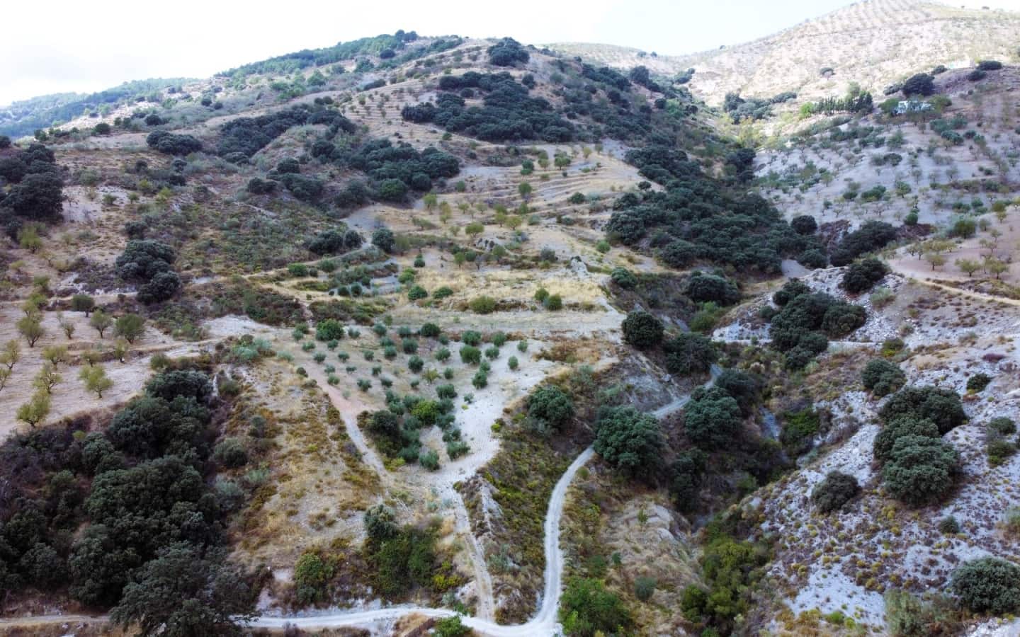 2 bedroom Finca/Country House for sale in Torvizcon - € 160,000 (Ref: 10167436)