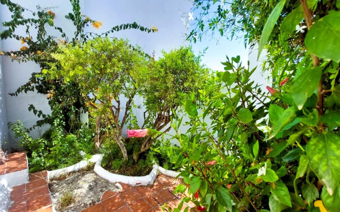 3 sypialnia Dom na sprzedaż w Salobrena - 170 000 € (Ref: 4914826)