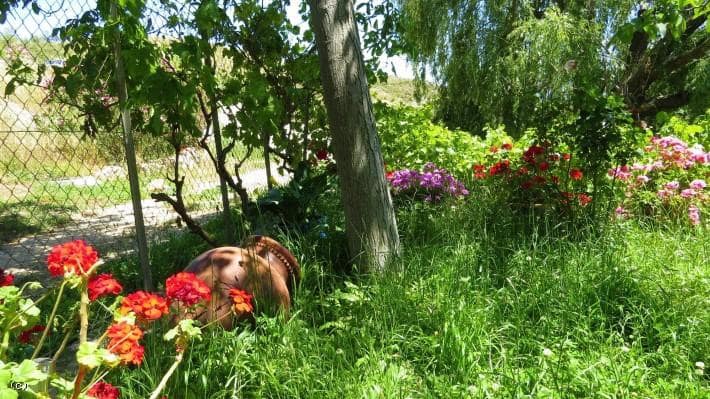 4 bedroom Finca/Country House for sale in Lanjaron with pool - € 650,000 (Ref: 4914838)