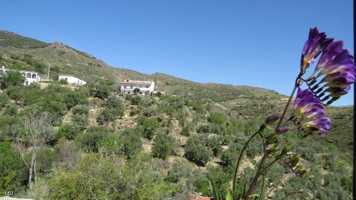 8 soveværelse Lejlighed til salg i Almegijar - € 110.000 (Ref: 4949835)