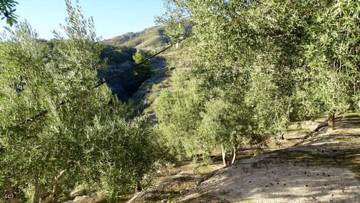 2 bedroom Finca/Country House for sale in Lanjaron - € 105,000 (Ref: 5128149)