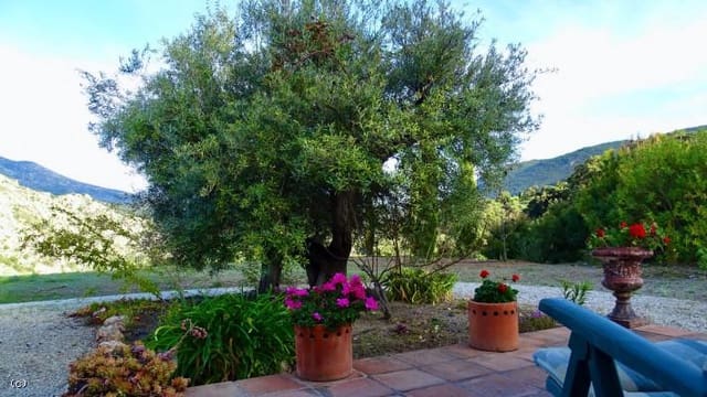 3 soveværelse Finca/Landehus til salg i Los Guajares med swimmingpool garage - € 330.000 (Ref: 5167460)