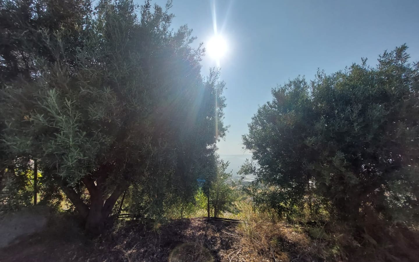 2 soverom Finca/Herregård til salgs i Salobrena - € 160 000 (Ref: 5317910)