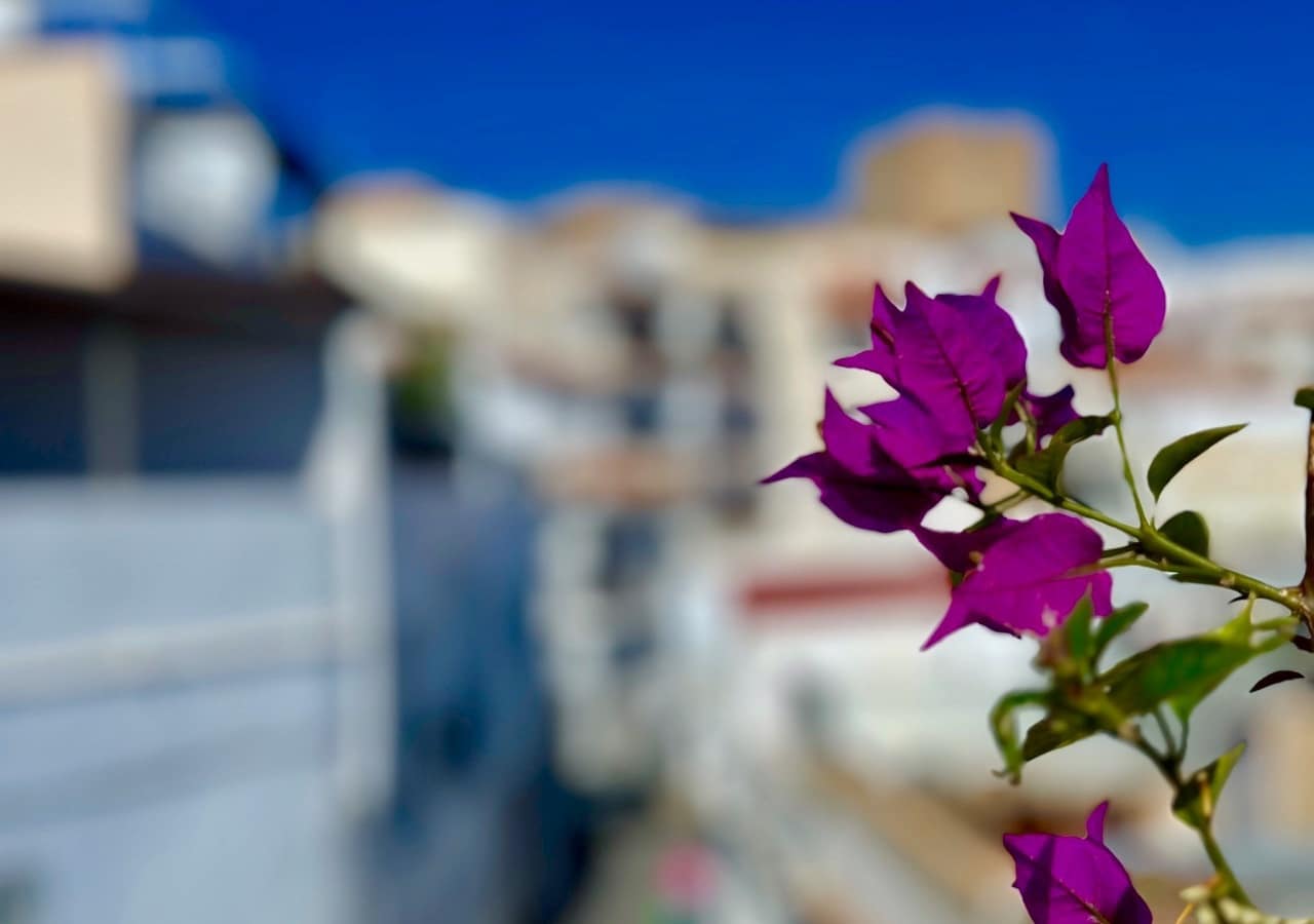 2 soverom Hus til salgs i Salobrena - € 220 000 (Ref: 5424558)