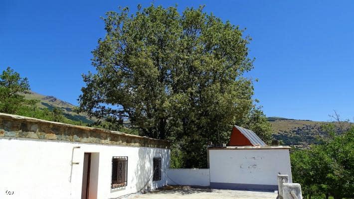 Teren niezagospodarowany na sprzedaż w Canar - 275 000 € (Ref: 5503696)