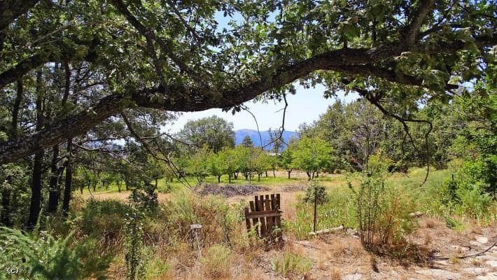 Teren niezagospodarowany na sprzedaż w Canar - 275 000 € (Ref: 5503696)