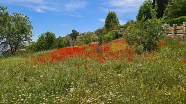 Terreno/Finca Rústica en Juviles en venta - 250.000 € (Ref: 6077305)