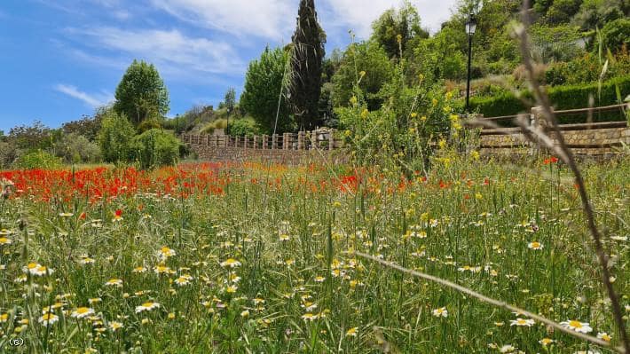 Grunde uden byggetilladelser til salg i Juviles - € 250.000 (Ref: 6077305)