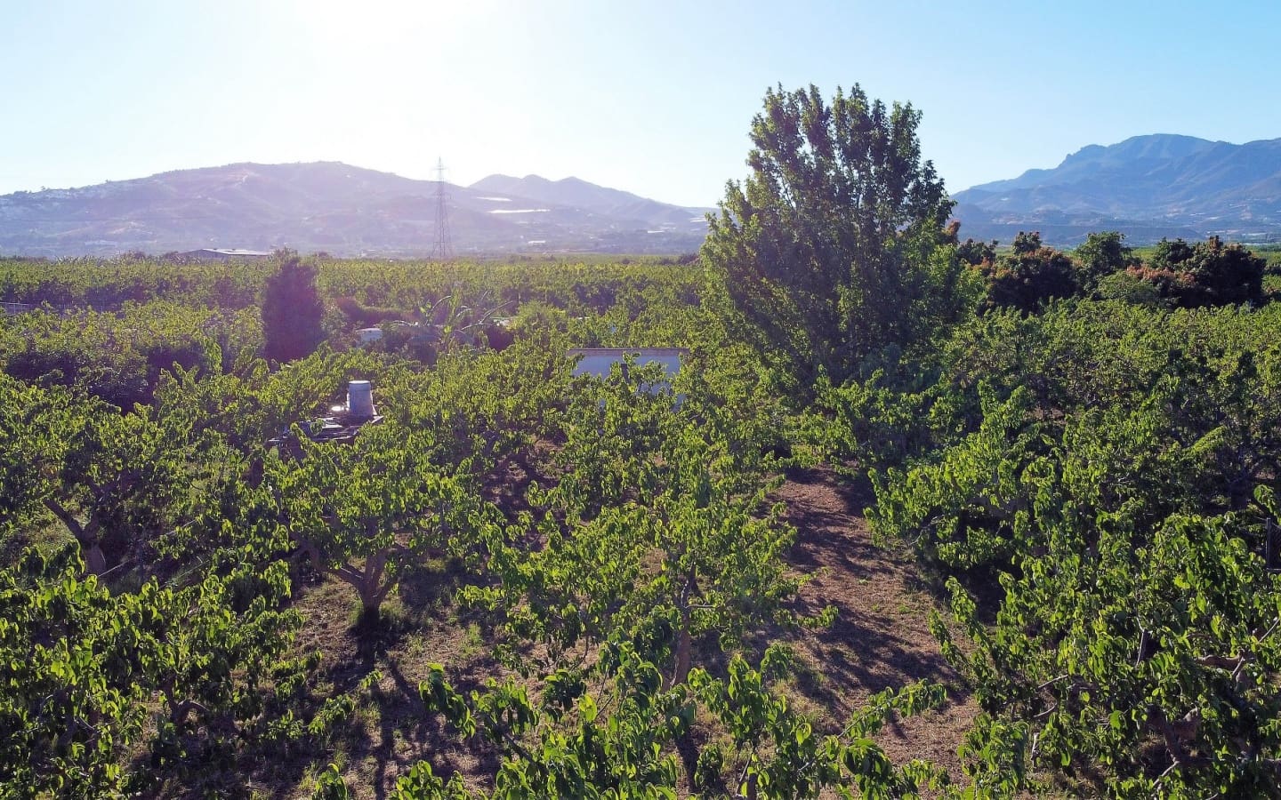 Undeveloped Land for sale in Salobrena - € 65,000 (Ref: 6933580)