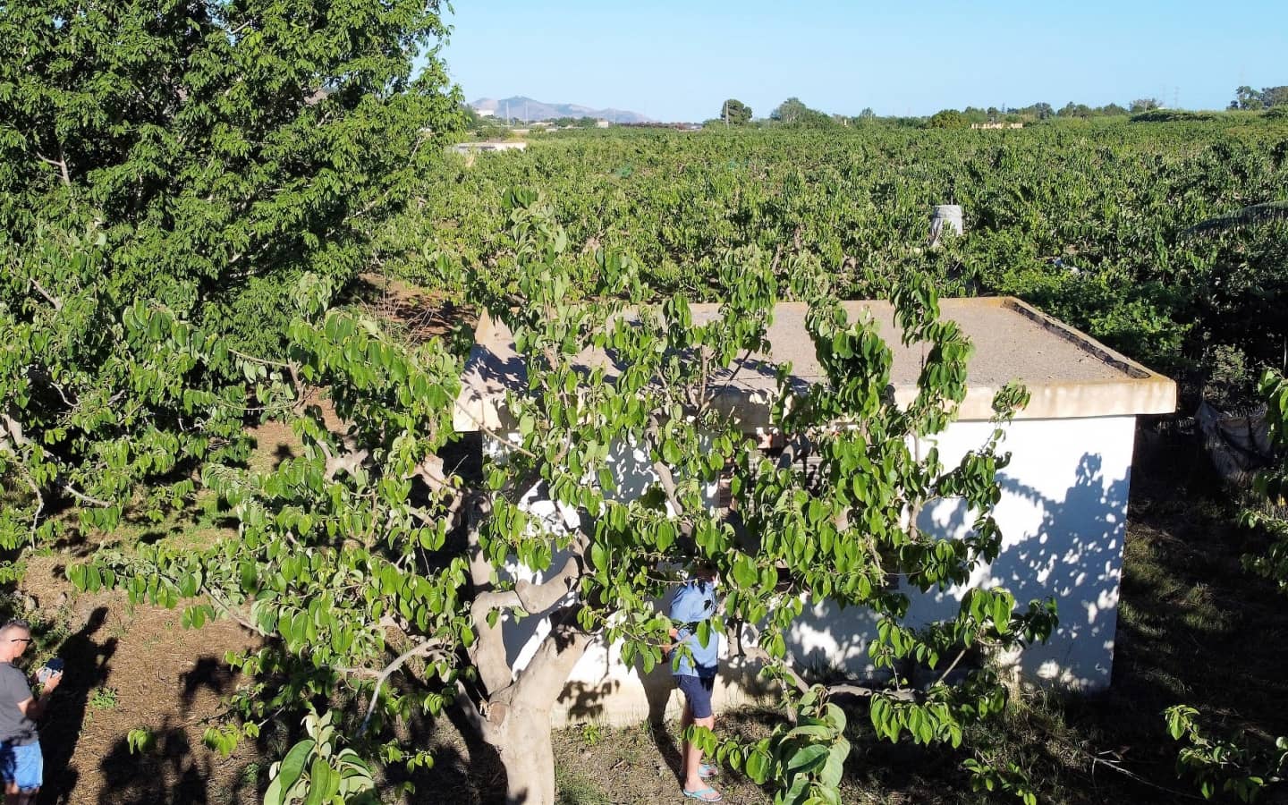 Undeveloped Land for sale in Salobrena - € 65,000 (Ref: 6933580)