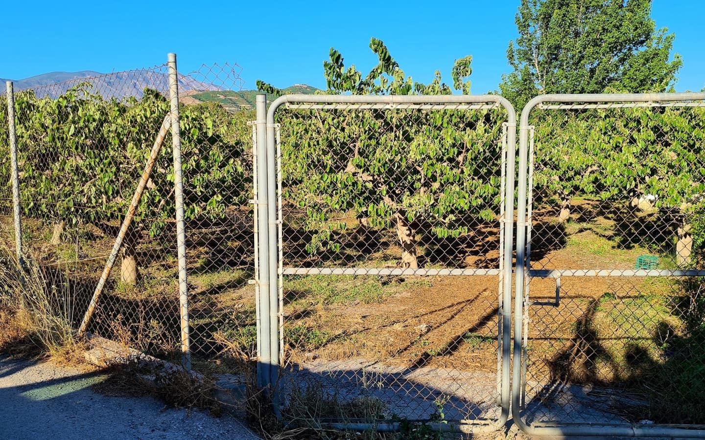 Undeveloped Land for sale in Salobrena - € 65,000 (Ref: 6933580)