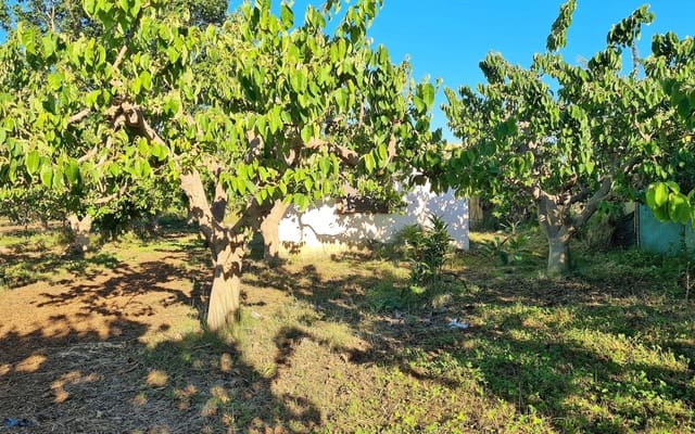 Grunde uden byggetilladelser til salg i Salobreña - € 65.000 (Ref: 6933580)