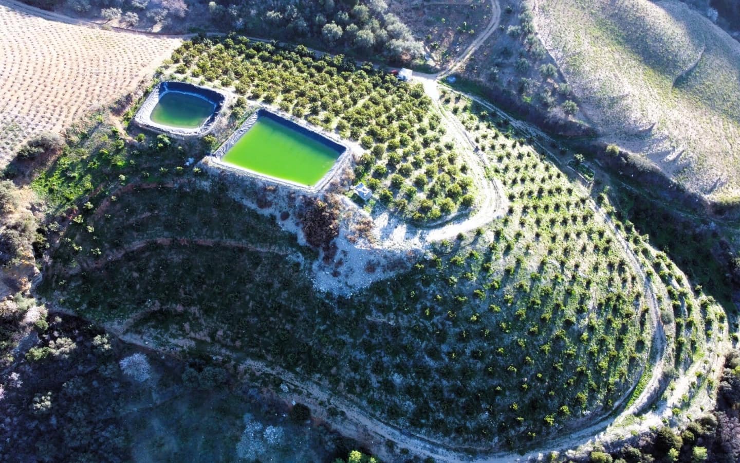 Grunde uden byggetilladelser til salg i Itrabo - € 330.000 (Ref: 8094215)