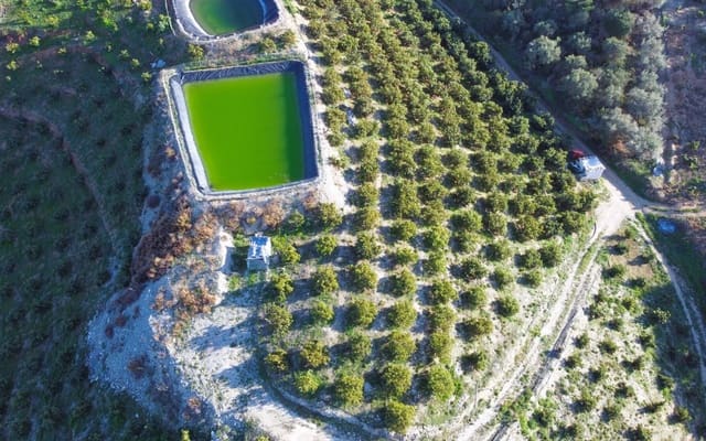 Undeveloped Land for sale in Itrabo - € 330,000 (Ref: 8094215)