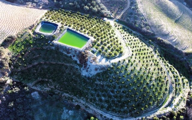 Undeveloped Land for sale in Itrabo - € 330,000 (Ref: 8094215)