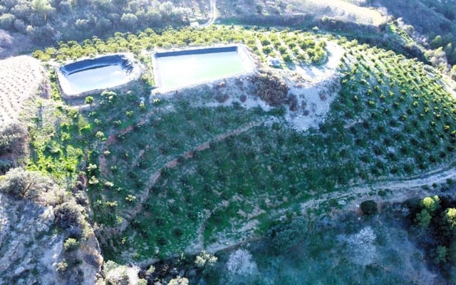 Undeveloped Land for sale in Itrabo - € 330,000 (Ref: 8094215)