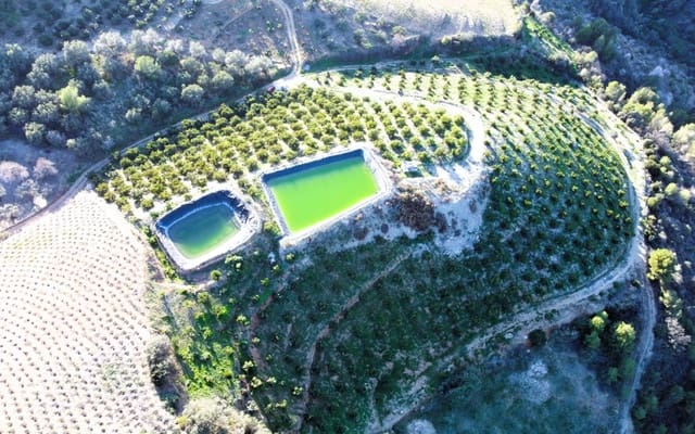 Undeveloped Land for sale in Itrabo - € 330,000 (Ref: 8094215)