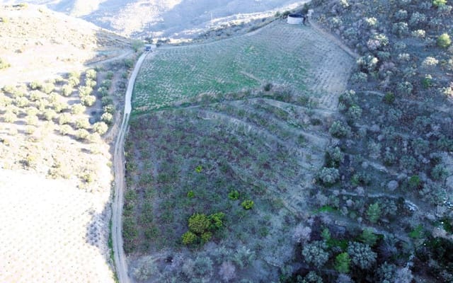 Undeveloped Land for sale in Itrabo - € 330,000 (Ref: 8094215)