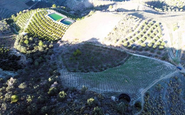 Undeveloped Land for sale in Itrabo - € 330,000 (Ref: 8094215)