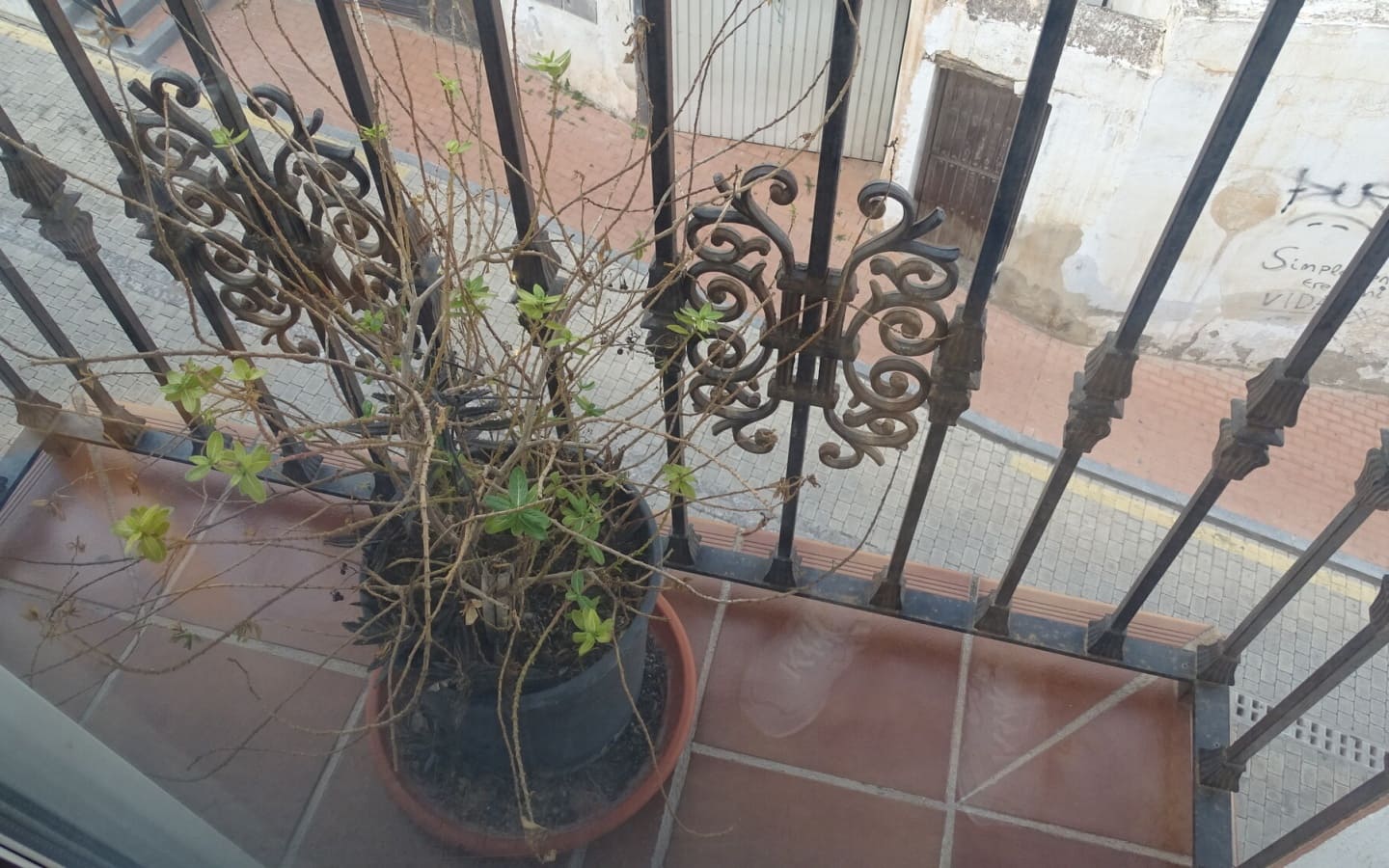 3 soveværelse Byhus til salg i Salobrena - € 182.000 (Ref: 8137839)