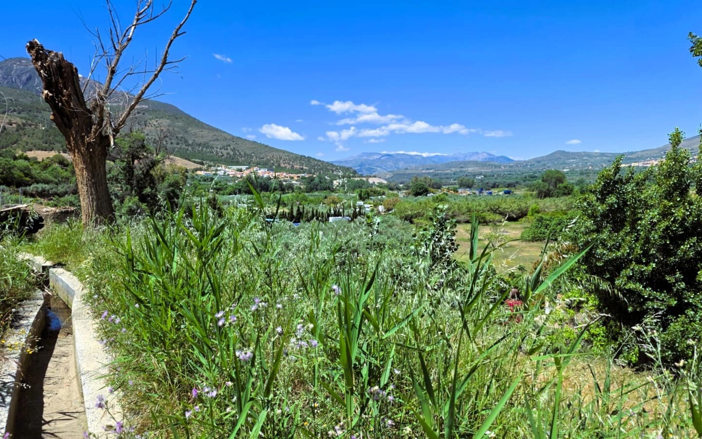 Ruin til salg i Orgiva - € 65.000 (Ref: 9883570)