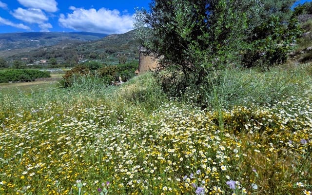 Ruin til salg i Orgiva - € 65.000 (Ref: 9883570)