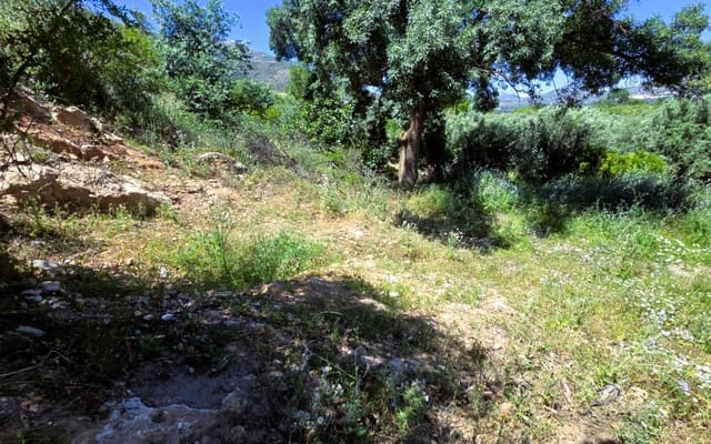 Ruin til salg i Orgiva - € 65.000 (Ref: 9883570)