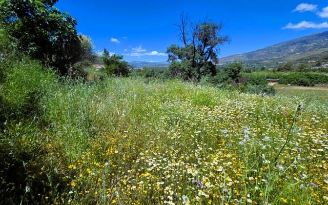 Ruin til salg i Orgiva - € 65.000 (Ref: 9883570)