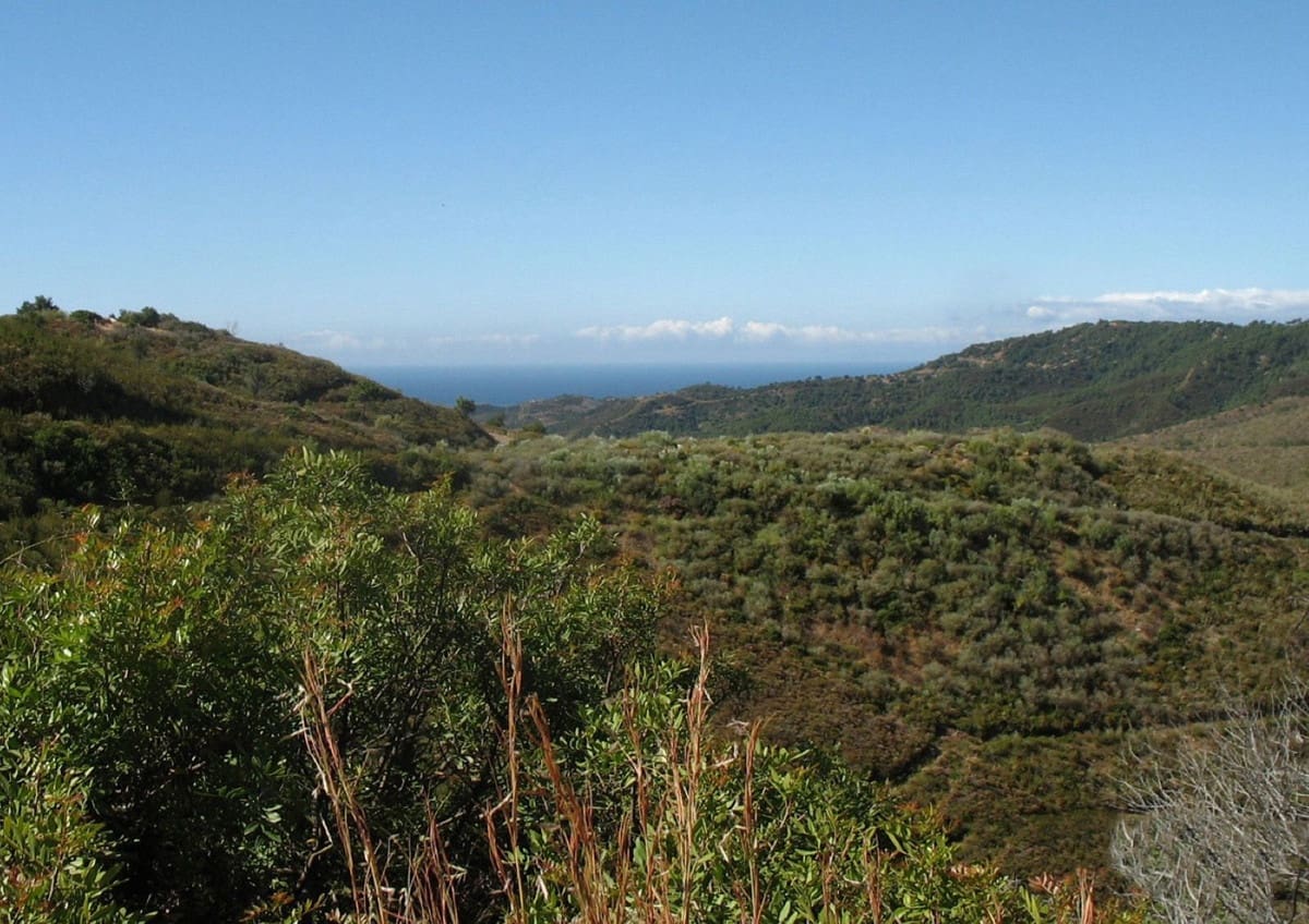 Terreno para Construção para venda em Benahavis - 20 000 000 € (Ref: 8367345)