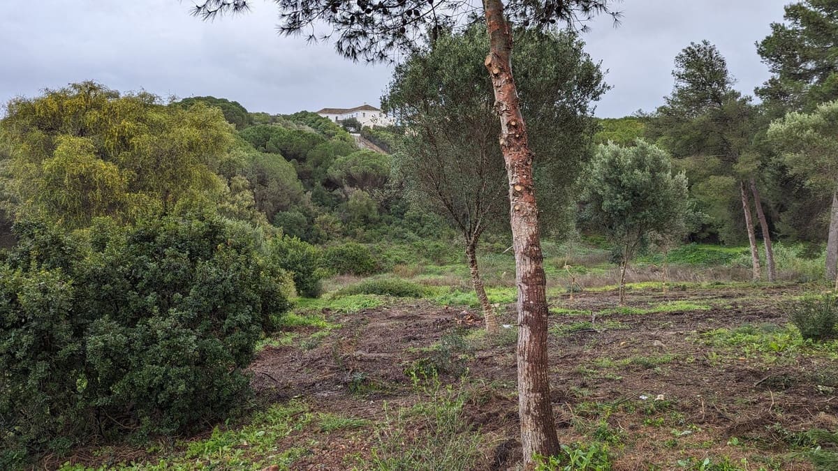 Byggegrund til salg i Sotogrande - € 580.000 (Ref: 9472497)